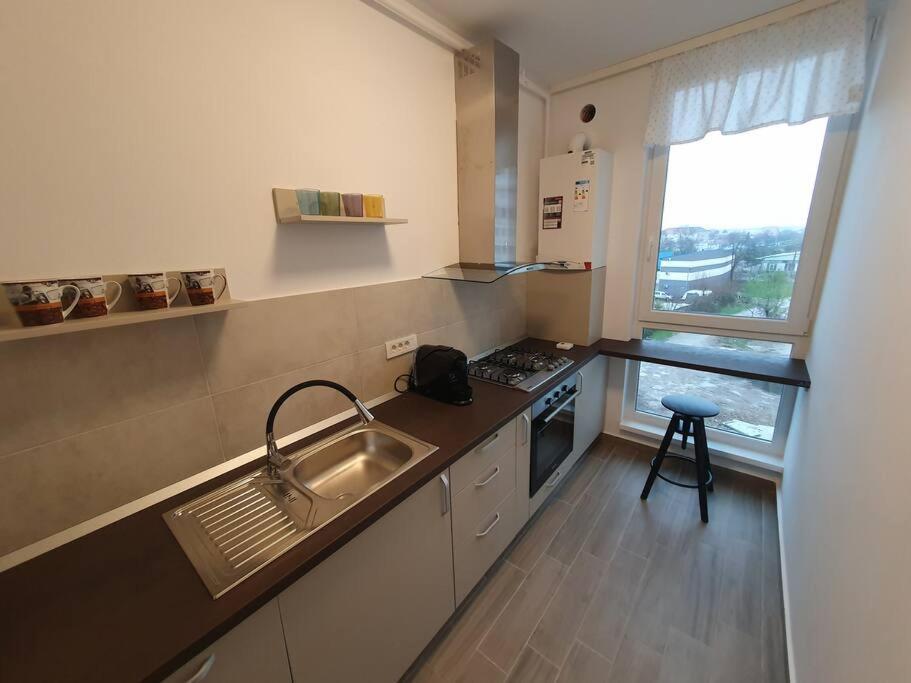 New Luxury Flat Near City Center Daire Temeşvar Dış mekan fotoğraf